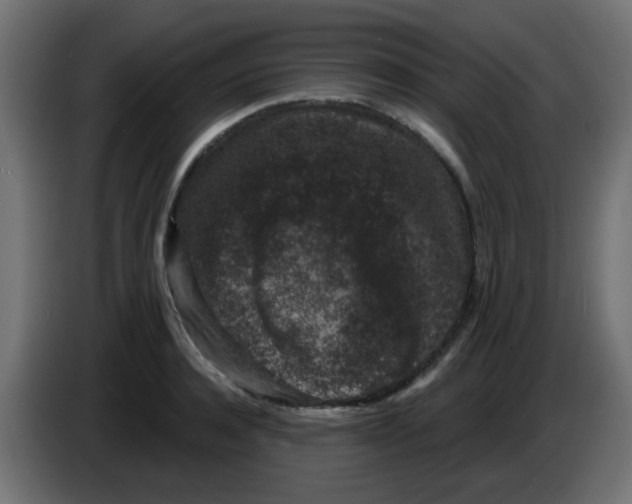 X0000086050944200704131953