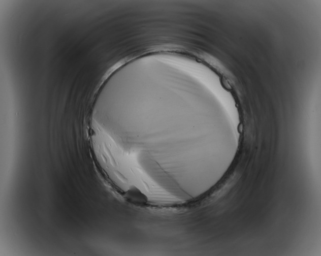 X0000086050945200704131953