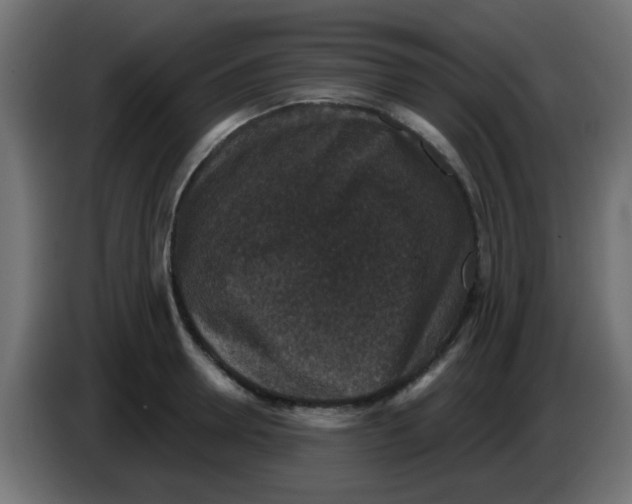 X0000086050946200704131953