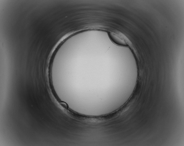 X0000086050947200704131953