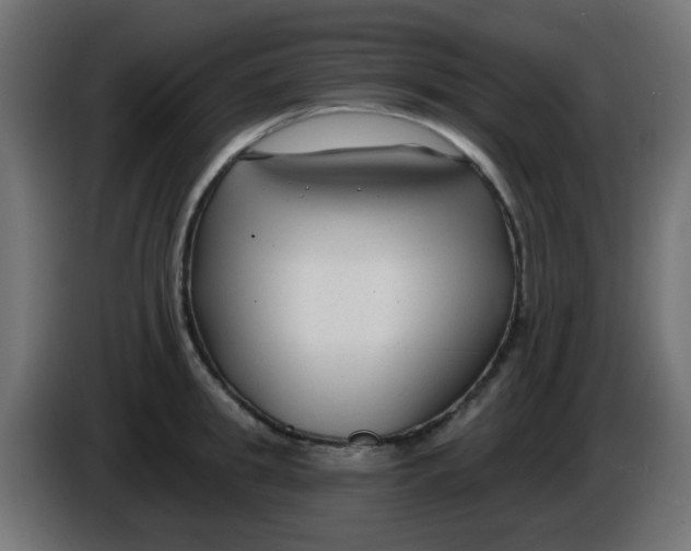 X0000086050949200704131953