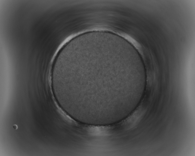 X0000086050950200704131953
