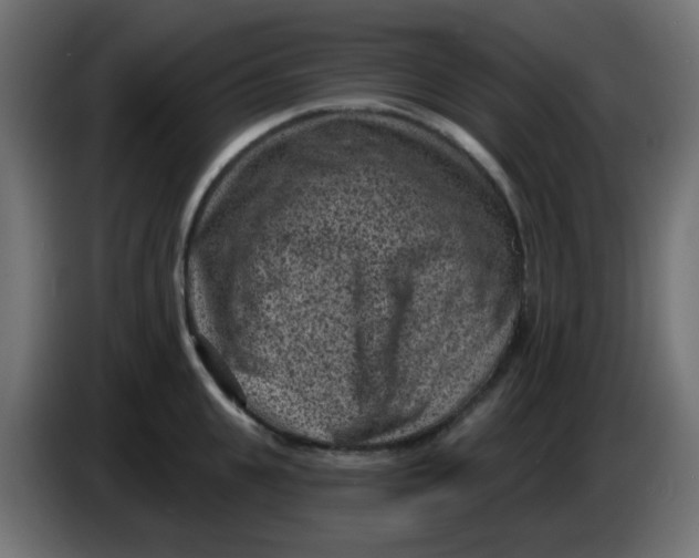 X0000086050951200704131953