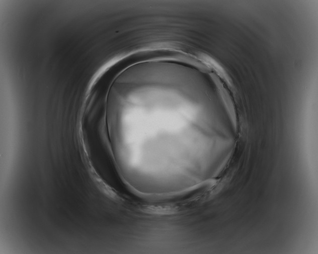 X0000086050952200704131953