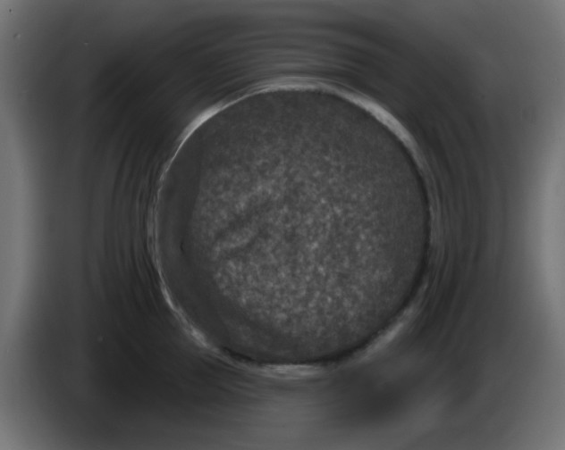 X0000086050953200704131953