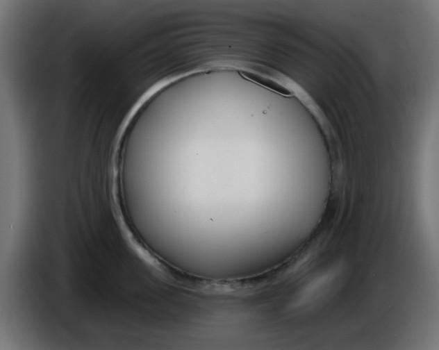 X0000086050955200704131953