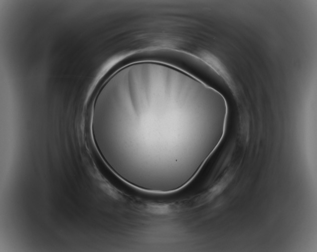 X0000086050956200704131953