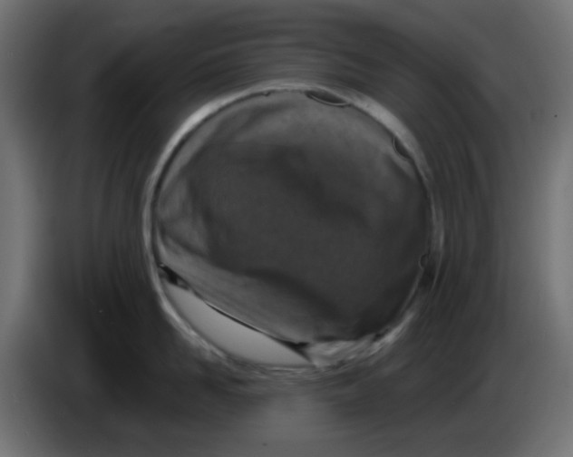X0000086050958200704131953