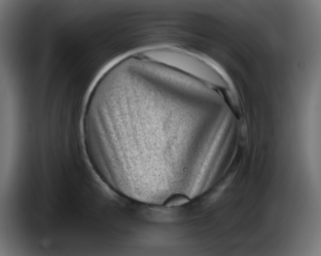 X0000086050959200704131953