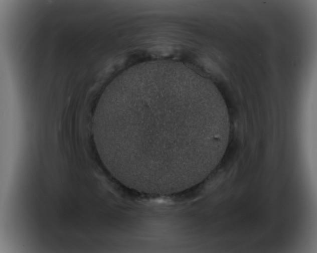 X0000086050961200704131953