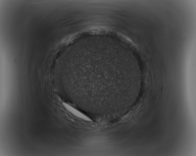 X0000086050965200704131953