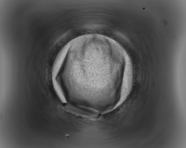 X0000086050966200704131953