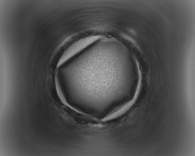 X0000086050968200704131953