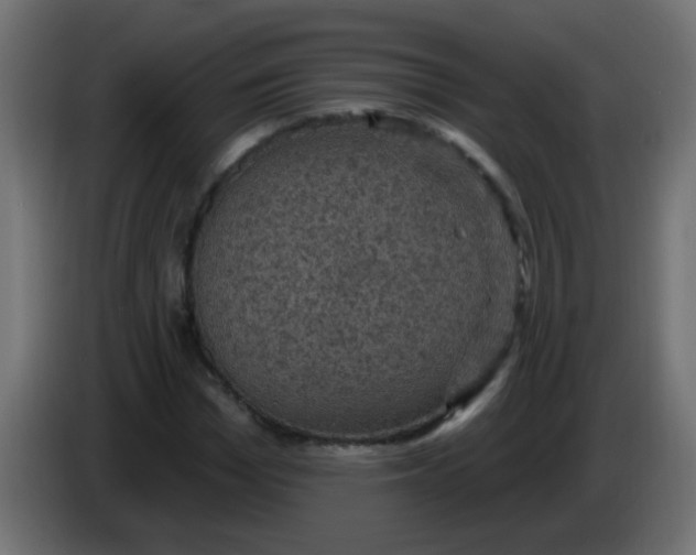 X0000086050969200704131953