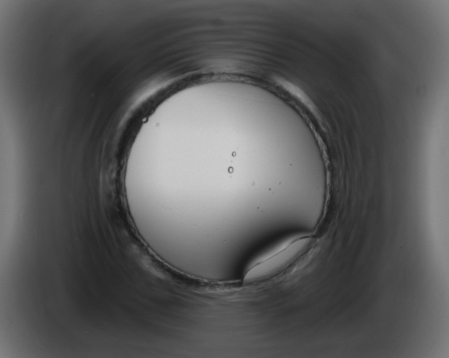 X0000086050971200704131953