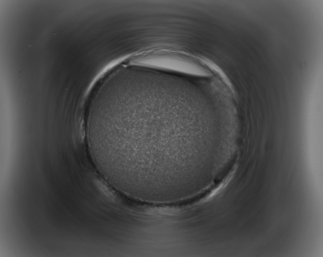 X0000086050973200704131953