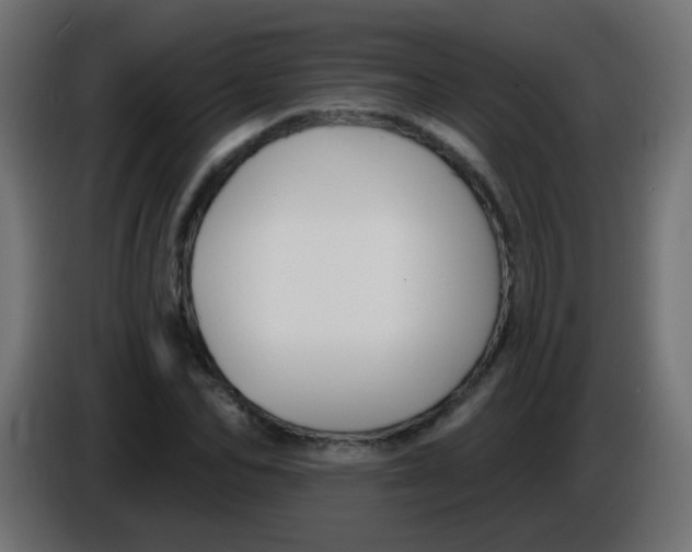 X0000086050974200704131953