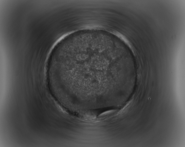 X0000086050975200704131952