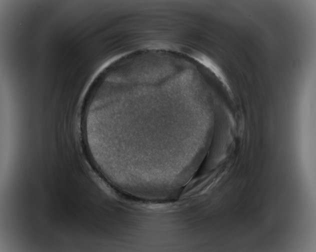 X0000086050976200704131952