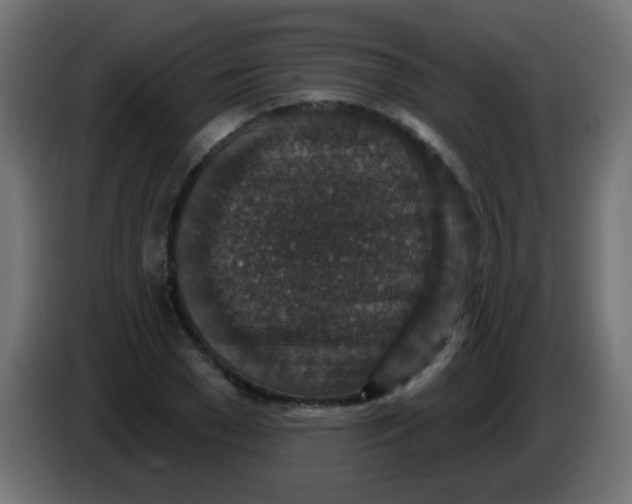 X0000086050977200704131952