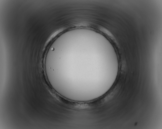 X0000086050978200704131952