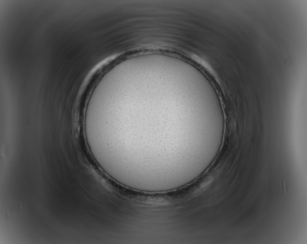 X0000086050979200704131952