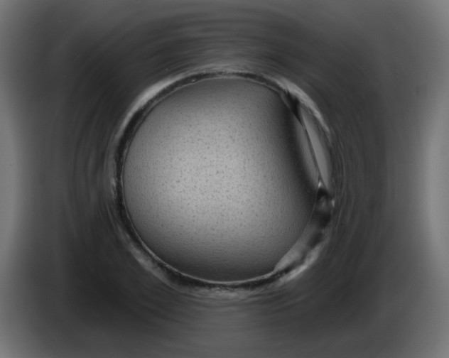X0000086050981200704131952