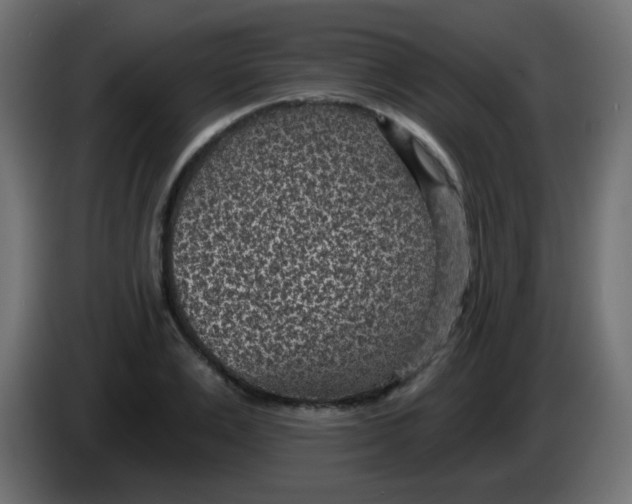 X0000086050983200704131952