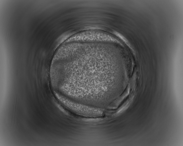 X0000086050985200704131952