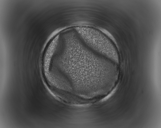 X0000086050989200704131952
