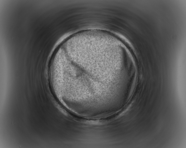 X0000086050990200704131952