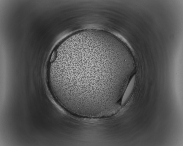 X0000086050991200704131952