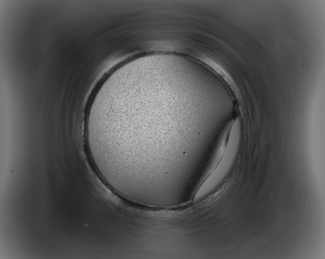 X0000086050992200704131952