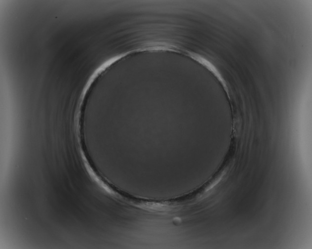 X0000086050995200704131952