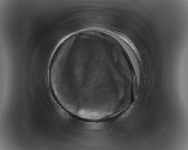 X0000086050996200704131952