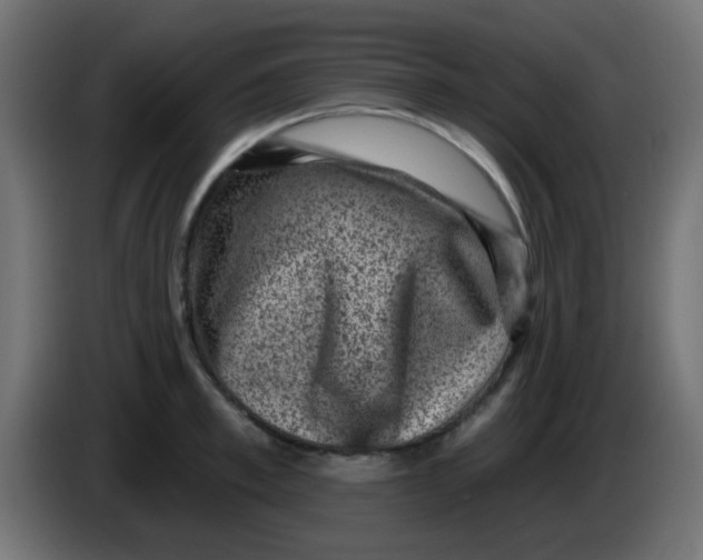 X0000086050997200704131952