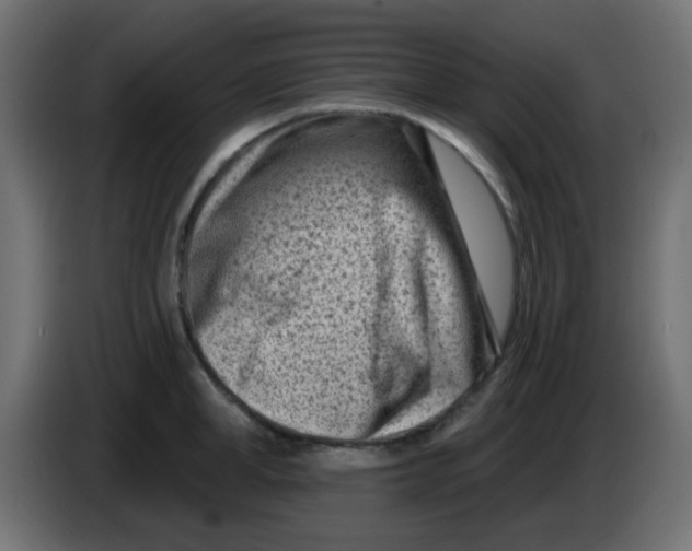 X0000086050998200704131952