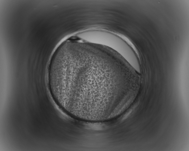 X0000086050999200704131952
