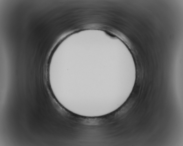 X0000086051000200704131952