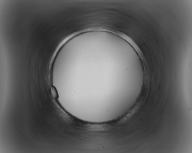 X0000086051004200704131952