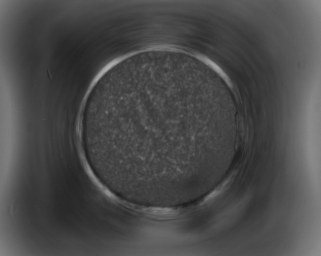 X0000086051007200704131952