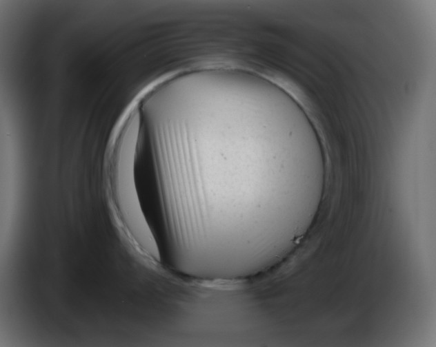 X0000086051008200704131952