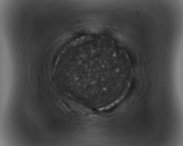 X0000086051009200704131951