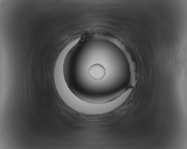 X0000086051010200704131951