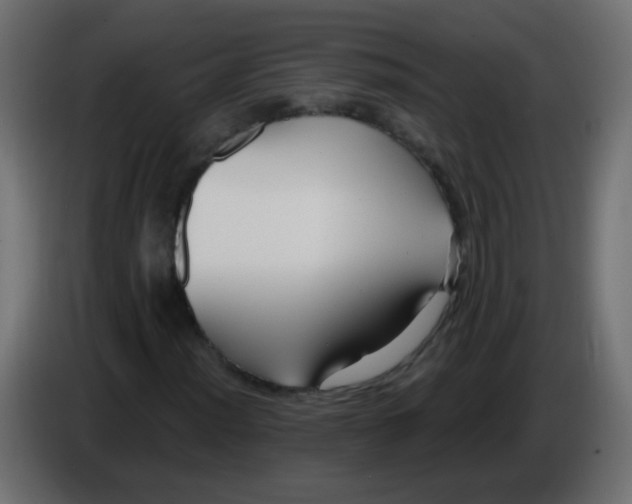 X0000086051012200704131951