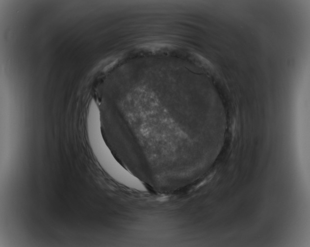 X0000086051014200704131951