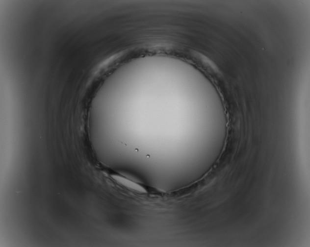 X0000086051016200704131951