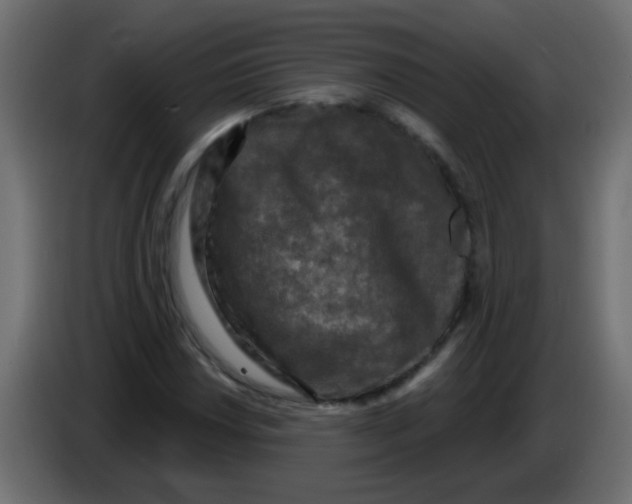 X0000086051018200704131951