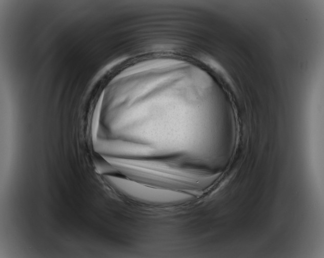 X0000086051019200704131951