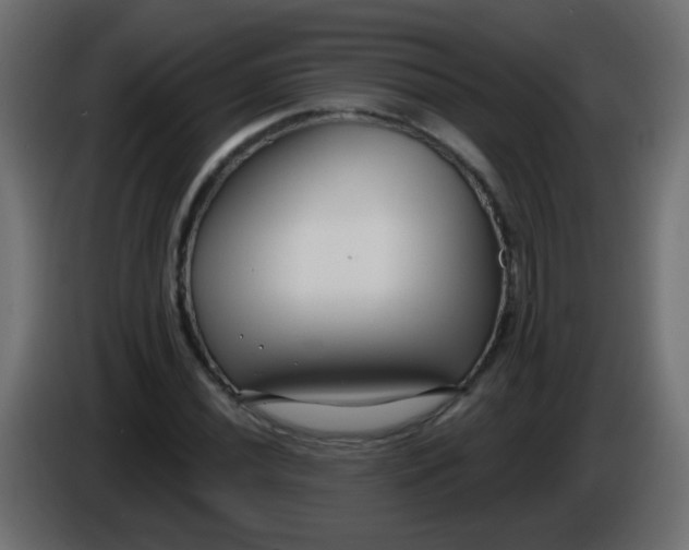 X0000086051020200704131952